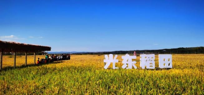 出行提示_延邊州公安交通管理部門發(fā)布出行指南_2025年國(guó)慶中秋假期交通出行安全提示