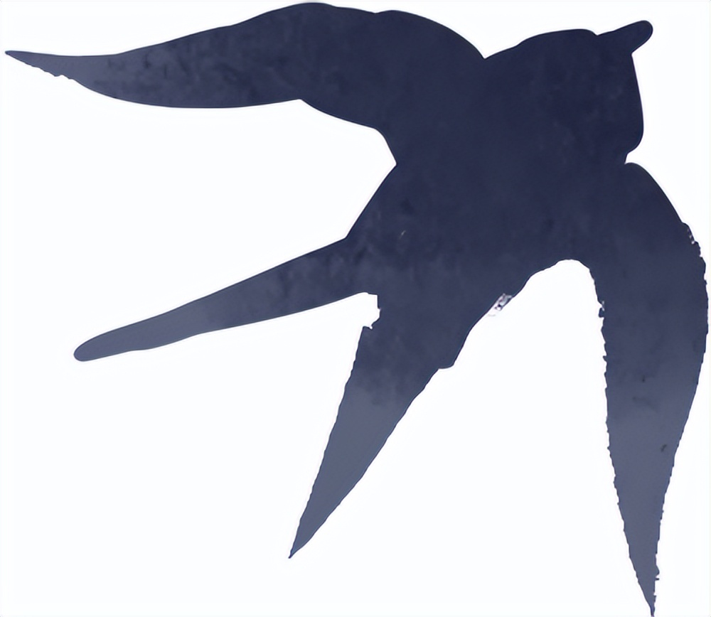 出行提示_秋季雨霧行車安全_雨霧天氣駕駛技巧