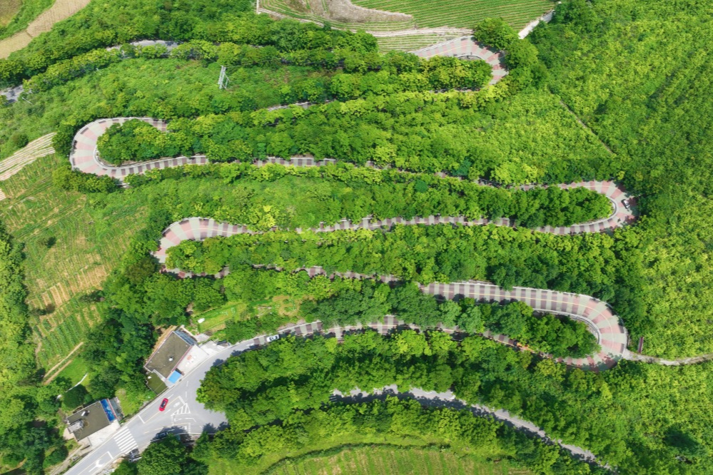 出行提示_農(nóng)村道路交通安全提示_駕駛?cè)顺鲂邪踩?/></p></div>
    <div   id="i45vtbx6"   class="clearfix"></div>
        <h5 class="post-tags"><span id="i45vtbx6"    class="glyphicon glyphicon-tags"></span> <a href="http://m.xiangchaochao.com/tags-7357.html" title="農(nóng)村交通安全">農(nóng)村交通安全</a><a href="http://m.xiangchaochao.com/tags-2648.html" title="交通安全提示">交通安全提示</a><a href="http://m.xiangchaochao.com/tags-8805.html" title="駕駛?cè)税踩?>駕駛?cè)税踩?/a><a href="http://m.xiangchaochao.com/tags-6889.html" title="行人安全">行人安全</a><a href="http://m.xiangchaochao.com/tags-8806.html" title="黔江交警">黔江交警</a></h5>
        <div   id="i45vtbx6"   class="alert alert-info p-copyright" role="alert">
        <p> 本站文章除注明轉(zhuǎn)載/出處外，均為本站原創(chuàng)或翻譯。若要轉(zhuǎn)載請(qǐng)務(wù)必注明出處，尊重他人勞動(dòng)成果共創(chuàng)和諧網(wǎng)絡(luò)環(huán)境。 </p>
        <p> 轉(zhuǎn)載請(qǐng)注明 : 文章轉(zhuǎn)載自 ?<a href="http://m.xiangchaochao.com/" rel="bookmark" title="作者：admin"> 途訊交通網(wǎng) </a>?<a href="http://m.xiangchaochao.com/txfl-3.html" rel="bookmark" title="網(wǎng)站分類(lèi)：出行攻略與工具"> 出行攻略與工具 </a> ?<a href="http://m.xiangchaochao.com/tx/13597.html" rel="bookmark" title="本文固定鏈接：http://m.xiangchaochao.com/tx/13597.html"> 10月16日黔江民警做客欄目解讀農(nóng)村道路交通安全要點(diǎn) </a> </p>
    </div>
    <div   id="i45vtbx6"   class="clearfix"></div>
    <ul class="post-share-tools">
        <li><a href="javascript:;" class="share-tools praise" xv=